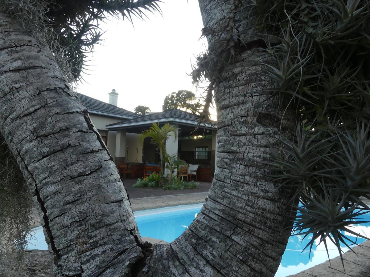 Heriot Manor Guesthouse 乔治 外观 照片